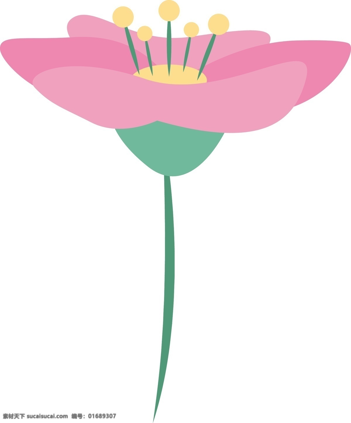 卡通 美丽 手绘 水彩 花 绘画 花卉 多彩 花瓣