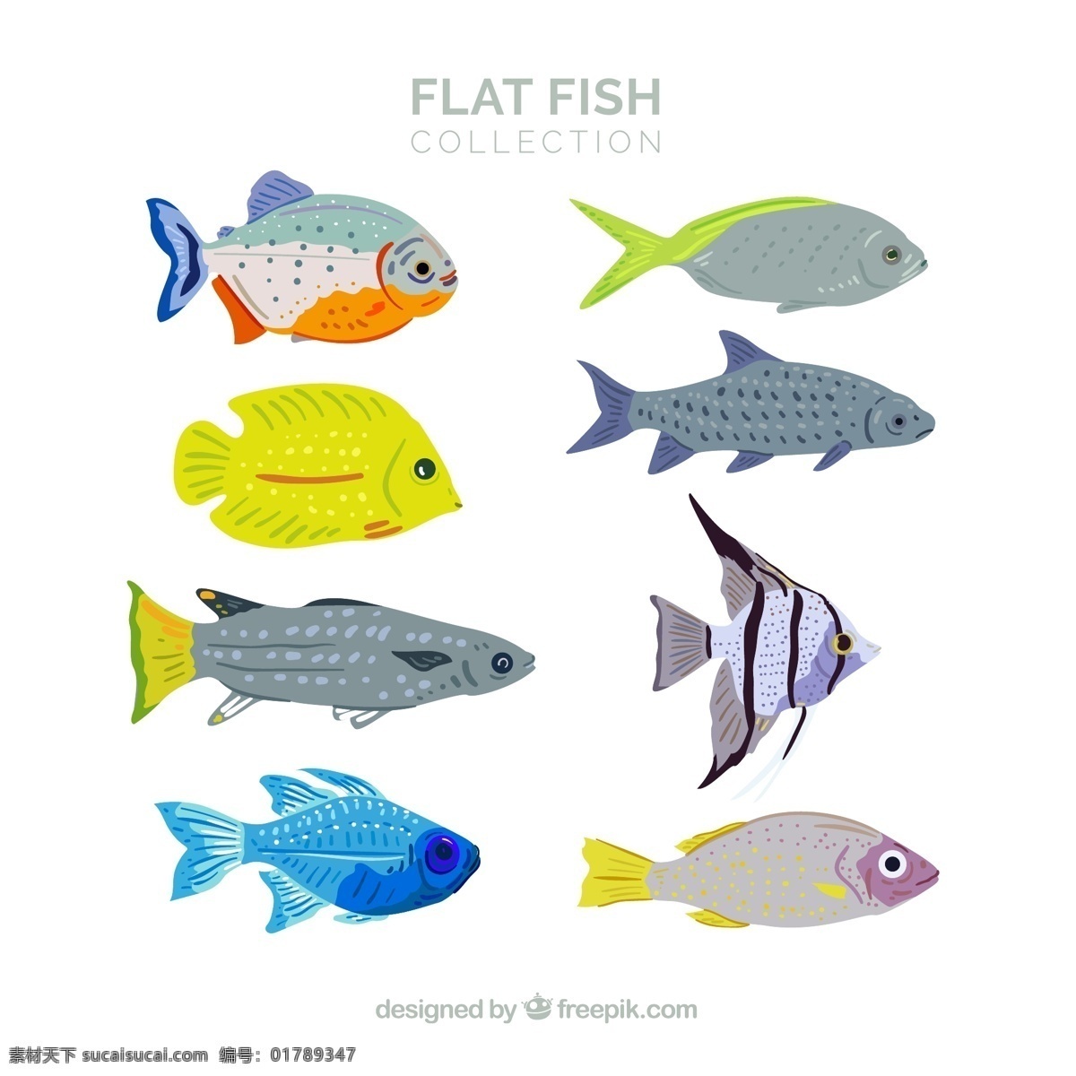 款 扁平化 彩色 鱼类 矢量 鱼 海洋动物 彩色鱼类 标志图标 其他图标