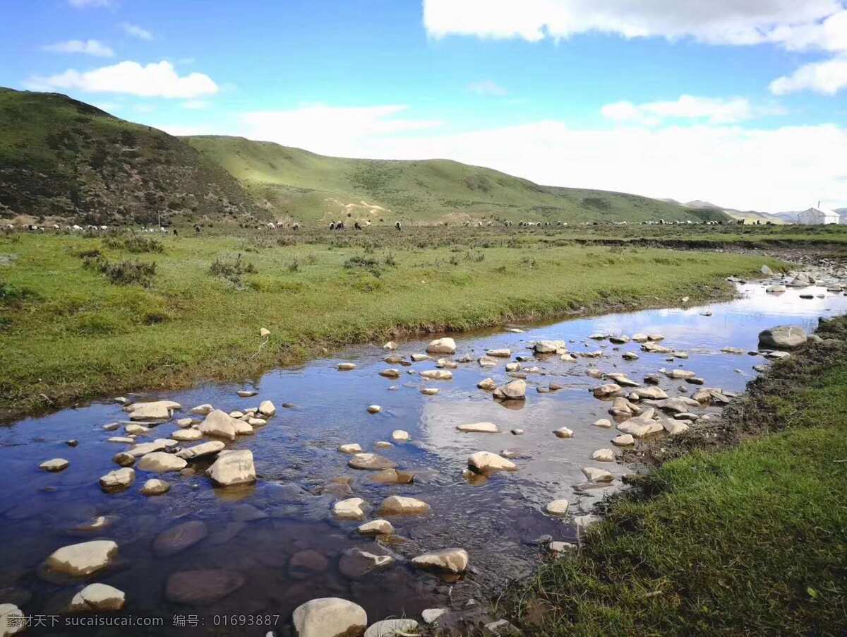 高原溪流 高原 溪流 石头 蓝天 草原 旅游摄影 自然风景