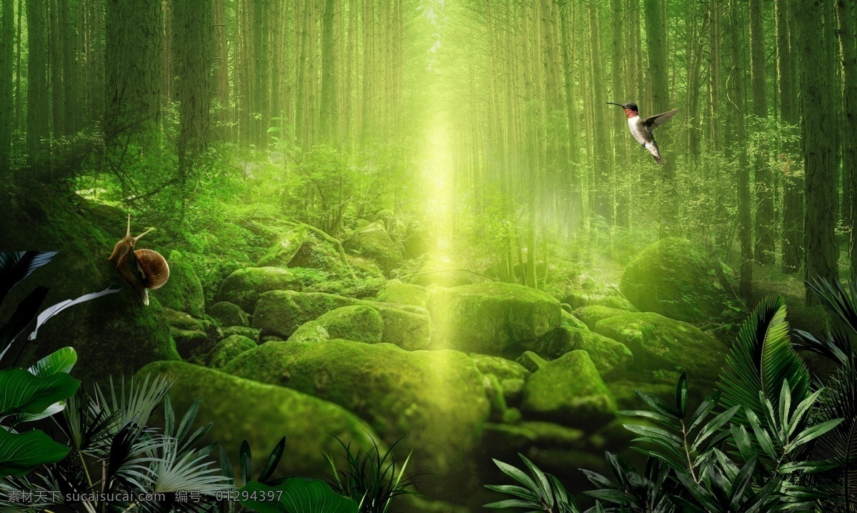梦幻从林 丛林背景 卡通造型 丛林乐园 森林 丛林 绿色背景 森林舞台 梦幻大冒险 大冒险 游乐园 淘气堡 卡通人物 彩虹 城堡 游乐场 儿童城堡 游乐园拱门 童心乐 儿童大冒险 奇幻大冒险 梦幻森林 底纹边框 背景底纹