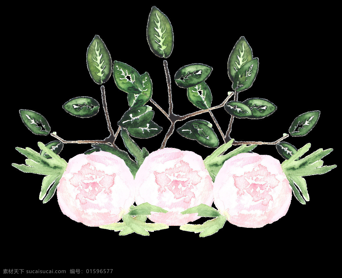 洁白 高贵 花卉 透明 装饰 海报设计装饰 卡通 免扣 设计素材 水彩 淘宝素材 透明素材 装饰图案