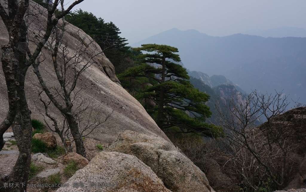 安徽黄山 黄山 黄山风景 安徽风景 安徽风光 黄山景观 黄山风景区 树木 高山 群山 安徽 安微黄山宏村 旅游摄影 自然风景