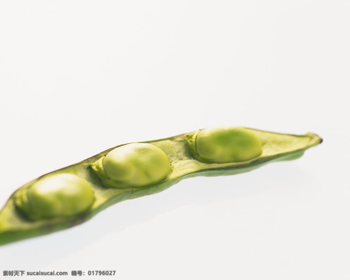 蚕豆 农产品 农作物 生物世界 食物 蔬菜 青豆 小寒豆 清凉解暑 新鲜 维生素 营养 植物 高清蔬菜 风景 生活 旅游餐饮