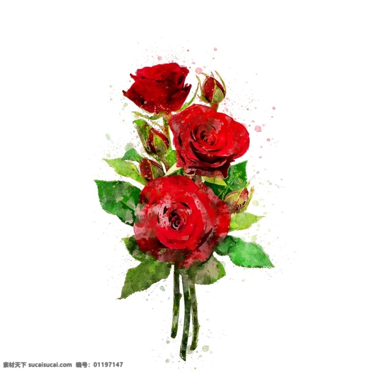 手绘 花卉 玫瑰红色 植物 水彩 元素 红色 原创 手绘元素 玫瑰 花卉元素 水彩元素 花元素