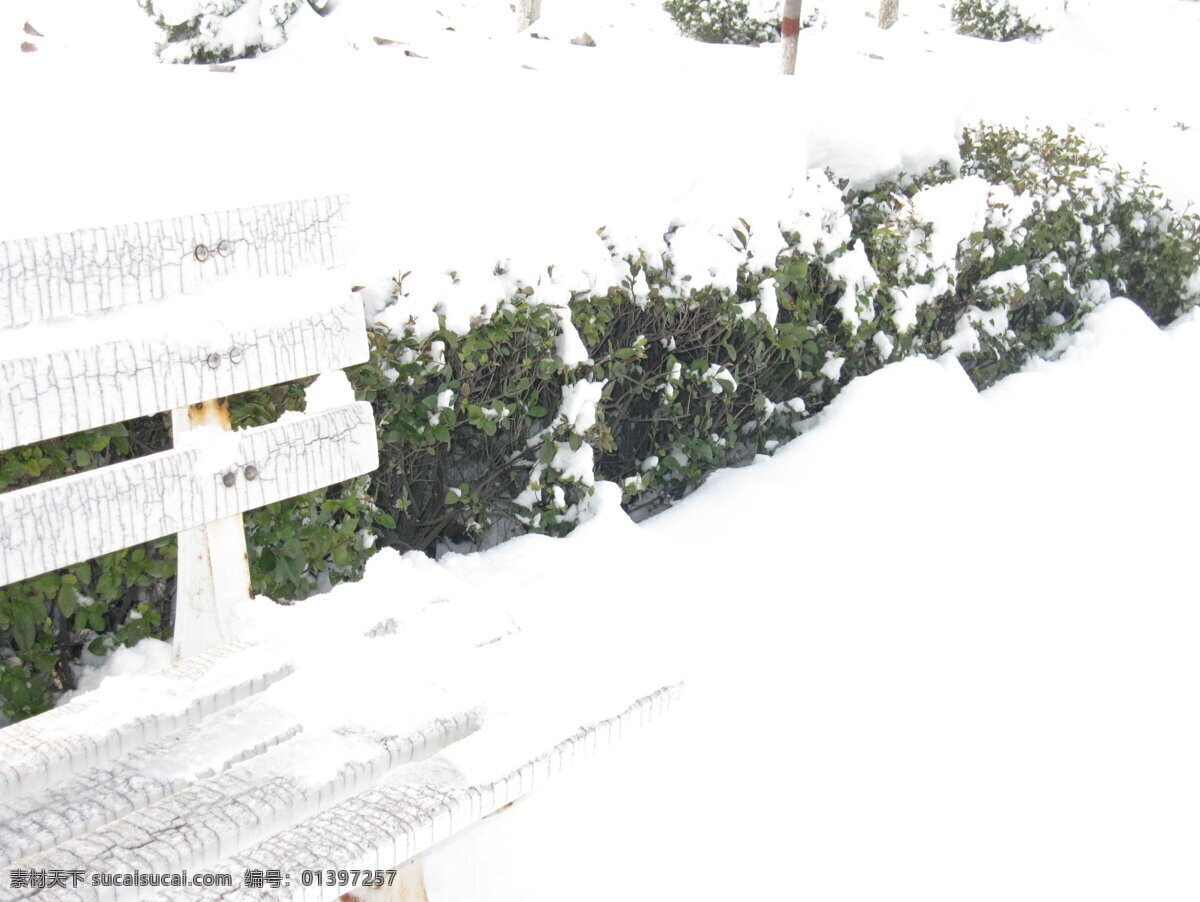 校园 雪景 靠椅 一角 绿色植物 雪景图片 椅子一角 绿色雪景 校园雪景 风景 生活 旅游餐饮