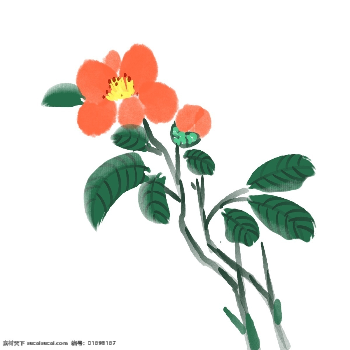 红色 山茶花 植物 花朵