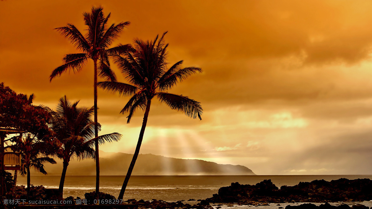 日落海景 海岛 夕阳 椰树 度假海岛 蜜月 旅游摄影 自然风景