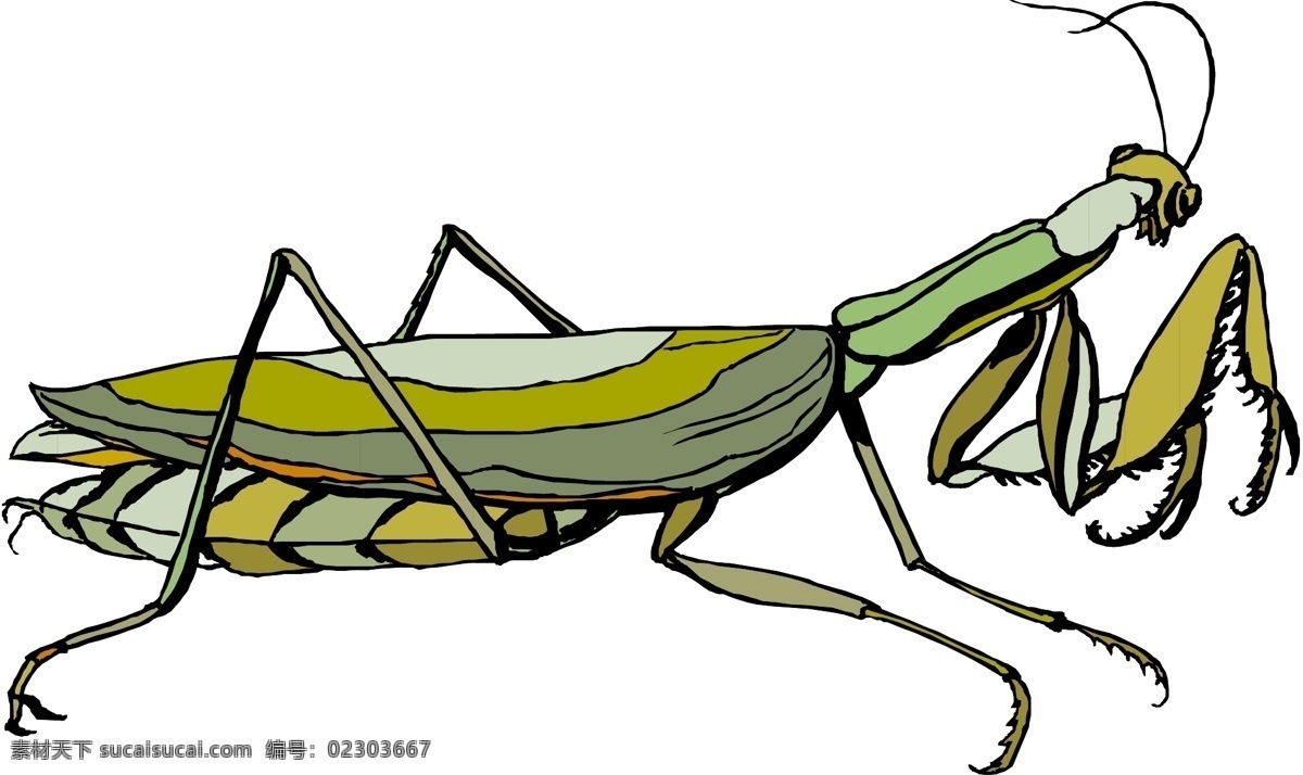 3d 昆虫 蝴蝶 81 昆虫矢量图 生物 世界 矢量 矢量图 其他矢量图