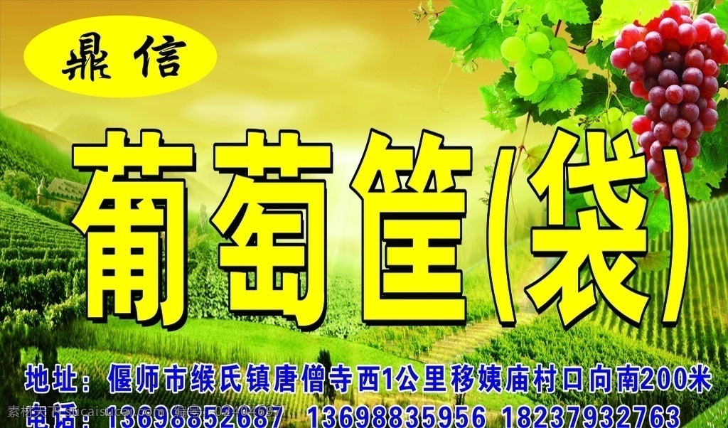 葡萄框 葡萄地 酒 草地 绿色 庄稼 生活百科
