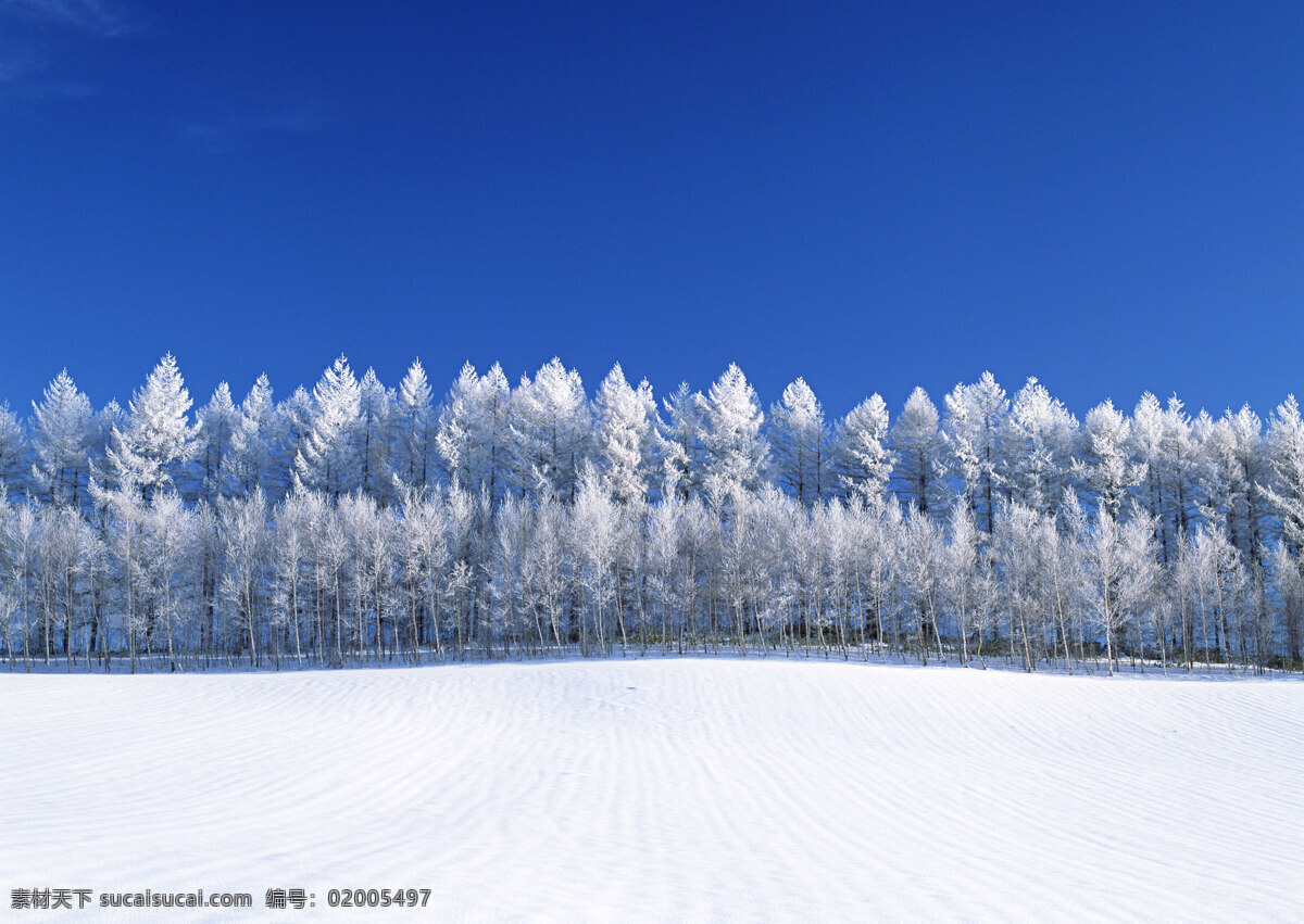 美丽 雪景 四季风景 美丽风景 美景 冬天雪景 雪地 积雪 自然景色 雪景图片 风景图片