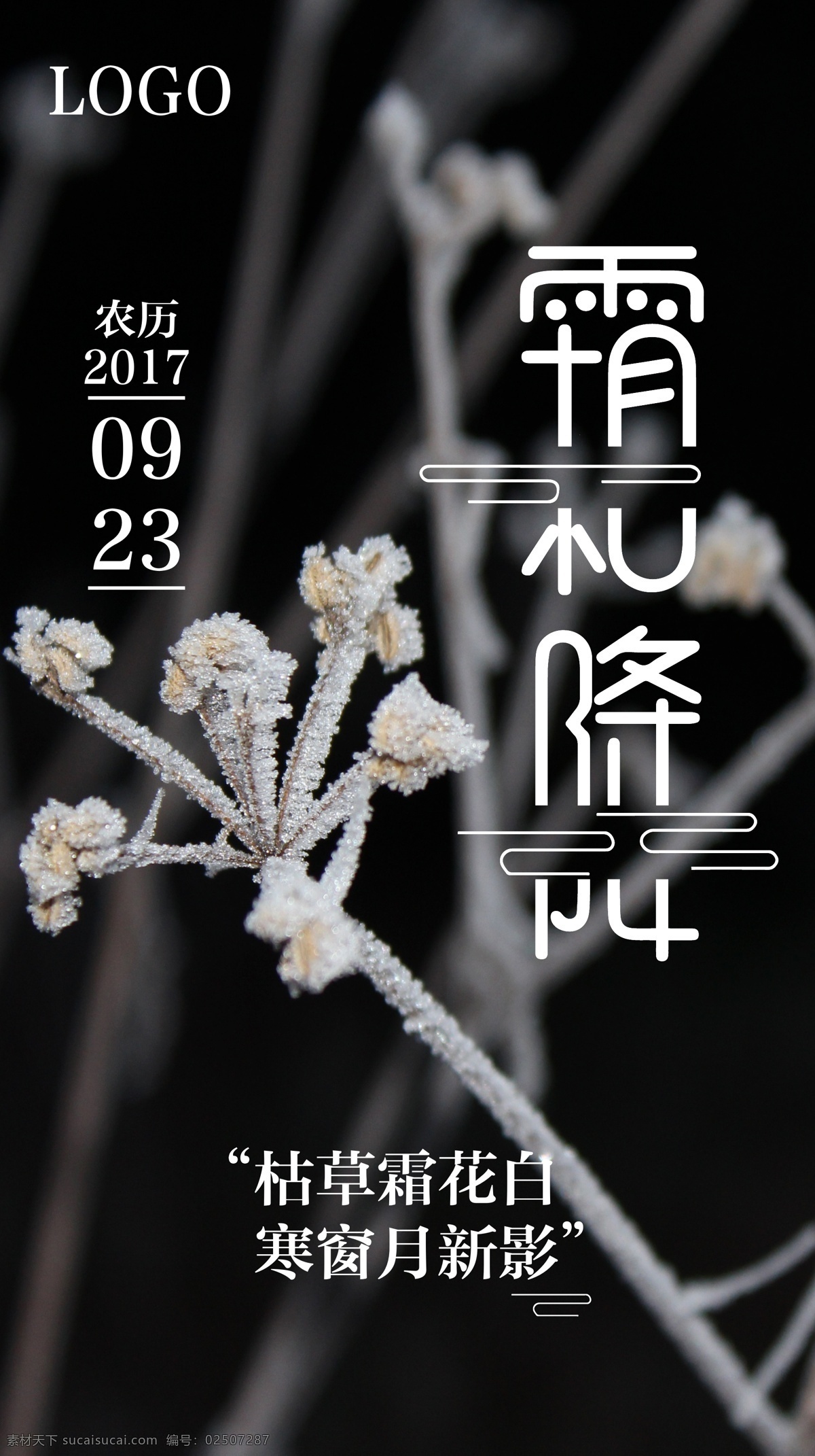 黑色 背景 简约 二十四节气 霜降 海报 节气 节日 24节气 枯草 黑白 风景 农历 寒窗 寒冷 月 传统