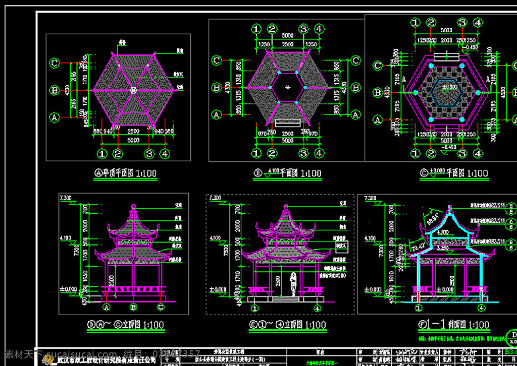 六角 树皮 亭子 施工图 树皮亭子 重檐 土建 景观 环境设计 景观设计 dwg 黑色