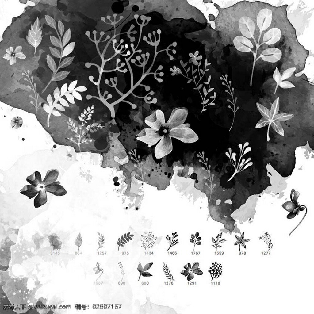 种 水彩 花朵 藤 叶 ps 笔刷 16种 藤叶 黑白 漂亮 白色