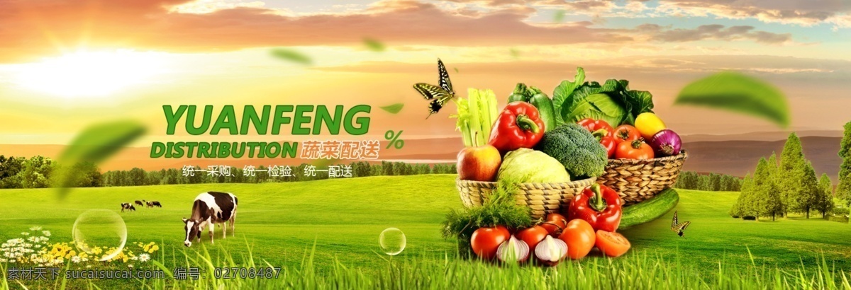 蔬菜 banner 绿色 黄昏 广告 黄色