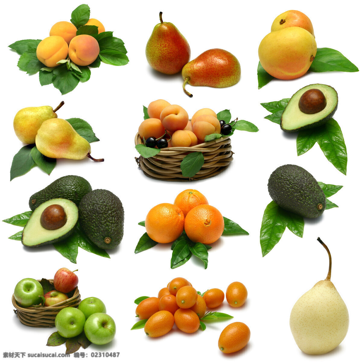 高清水果图片 水果 新鲜 苹果 菠萝 梨子 香蕉 西瓜 柠檬 哈密瓜 荔枝 橘子 橙子 葡萄 草莓 各种水果 生物世界