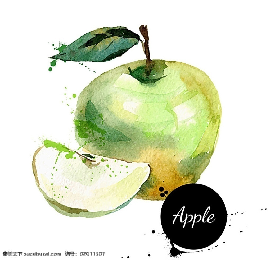 苹果 水果 水彩 矢量 水彩苹果 苹果矢量图