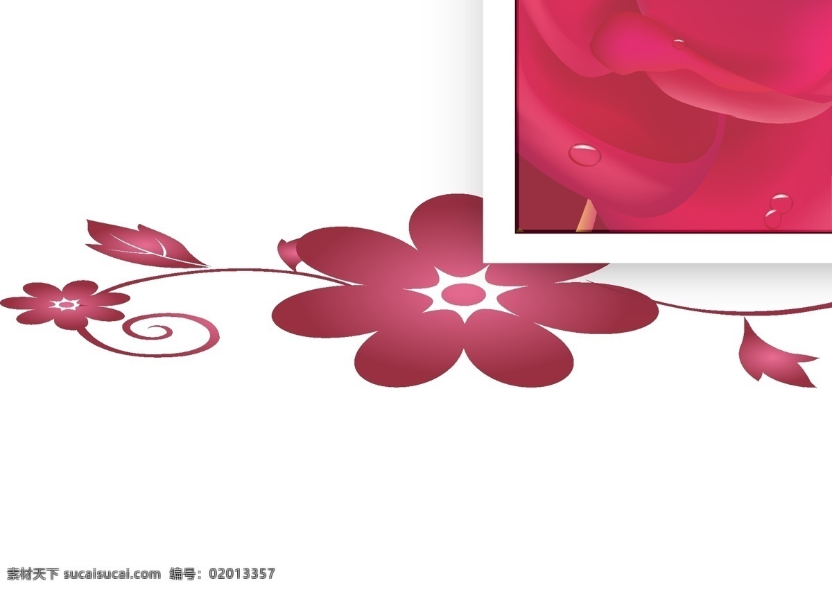 精美花卉卡片 矢量边框花纹 矢量花纹素材 矢量图库 精美花卉 卡片矢量模板 白色