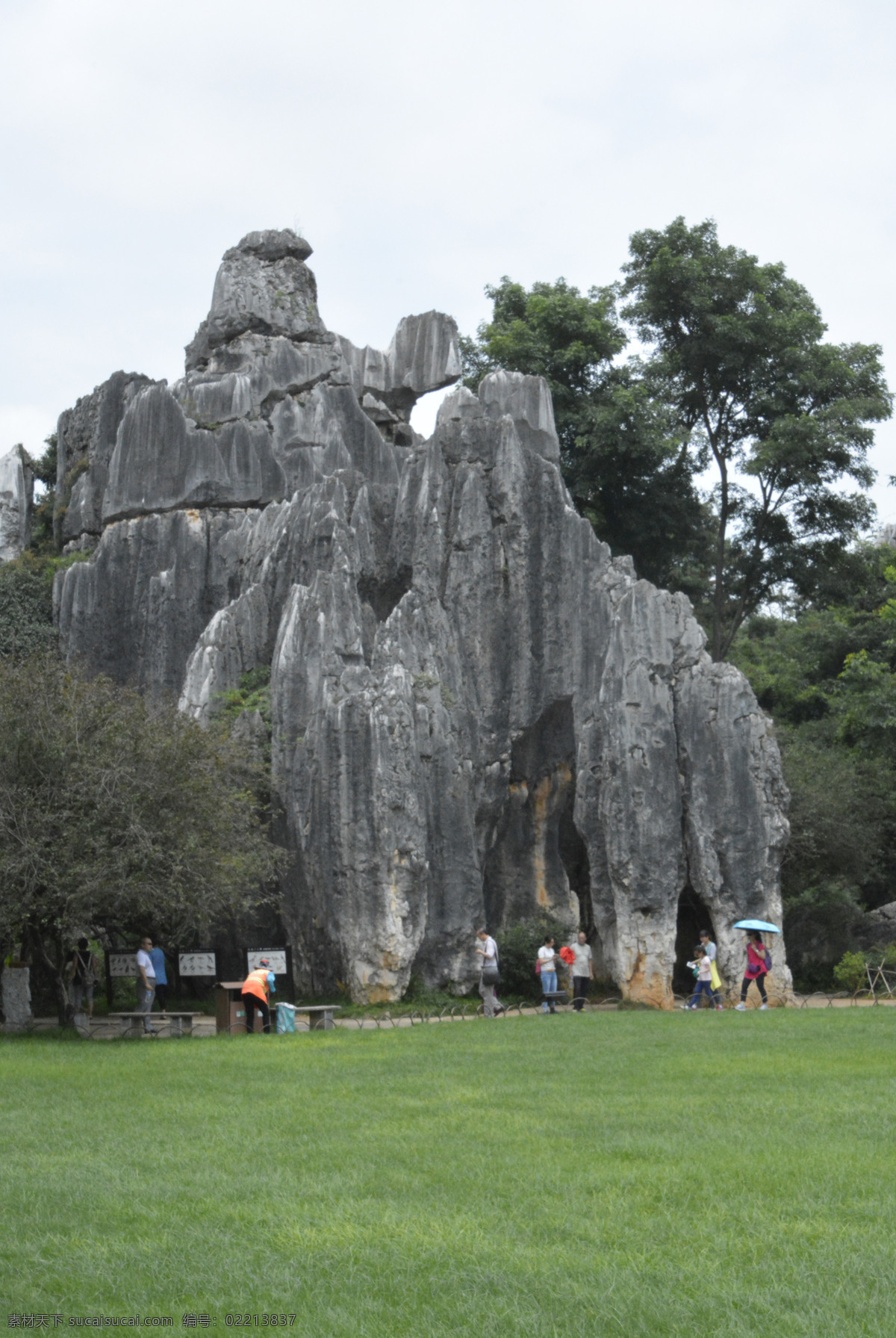 云南石林 大象 乌龟 青蛙 圣物 云南旅游 旅游风光 山水摄影 树 石头 草地 休闲生活 自然景观 山水风景