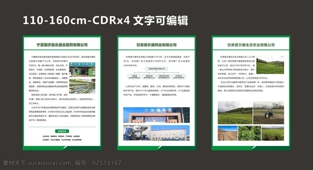 集团公司简介 公司简介 药品公司 中药材 农业公司 西药集团 西药 农业 药店 简介 连锁简介 公司 集团 简洁 甘肃 企业文化简介 室内广告设计