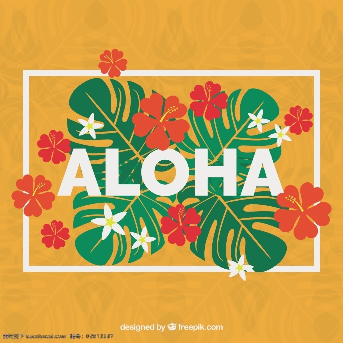 手绘 热带 花朵 叶子 aloha 背景 花 手花 性质 叶 植物 自然 棕榈 鲜花背景 自然背景 绽放 美丽 吸引 野生