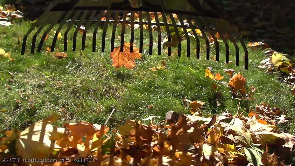 耙树叶pov 自然 慢动作 叶 落下 秋天 季节 季节性的 天气 院子 工作 庭院劳动 庭院 在户外 外部 户外的 耙 九月 十月