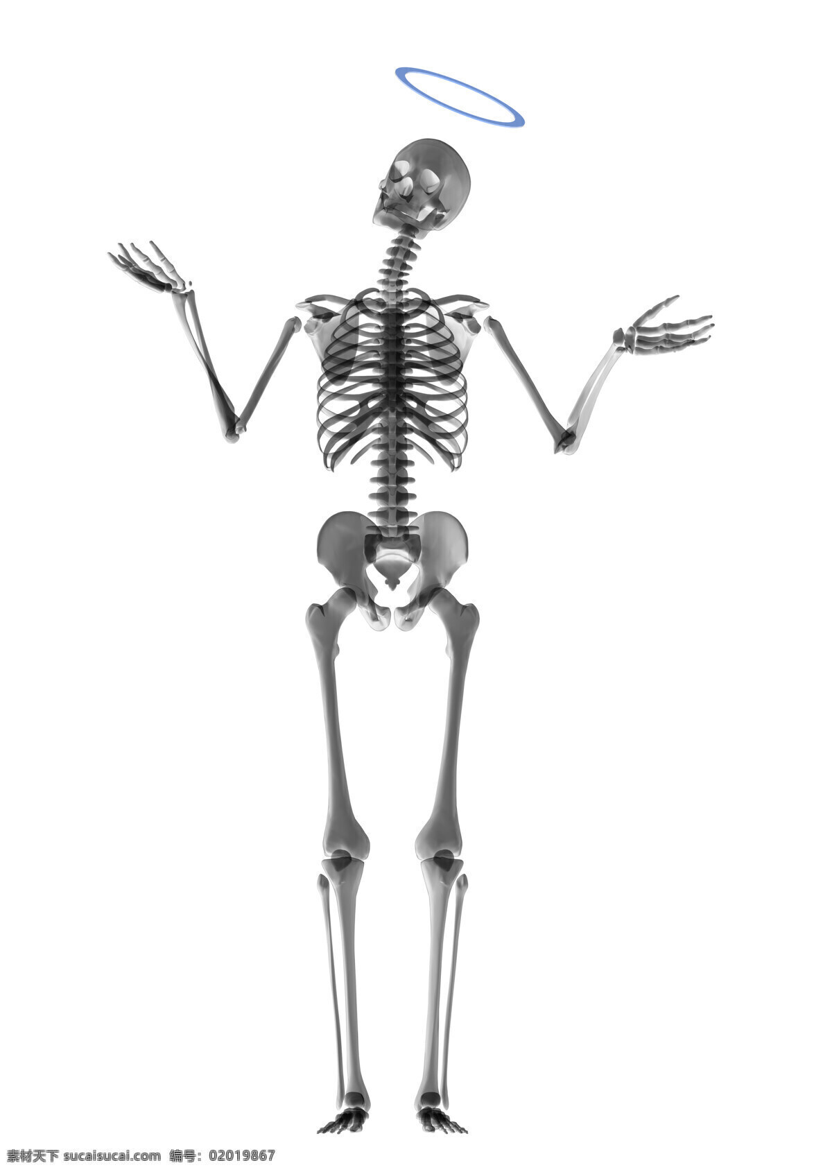 讲话 骷髅 骨骼 人体结构 骨头组织 其他类别 生活百科
