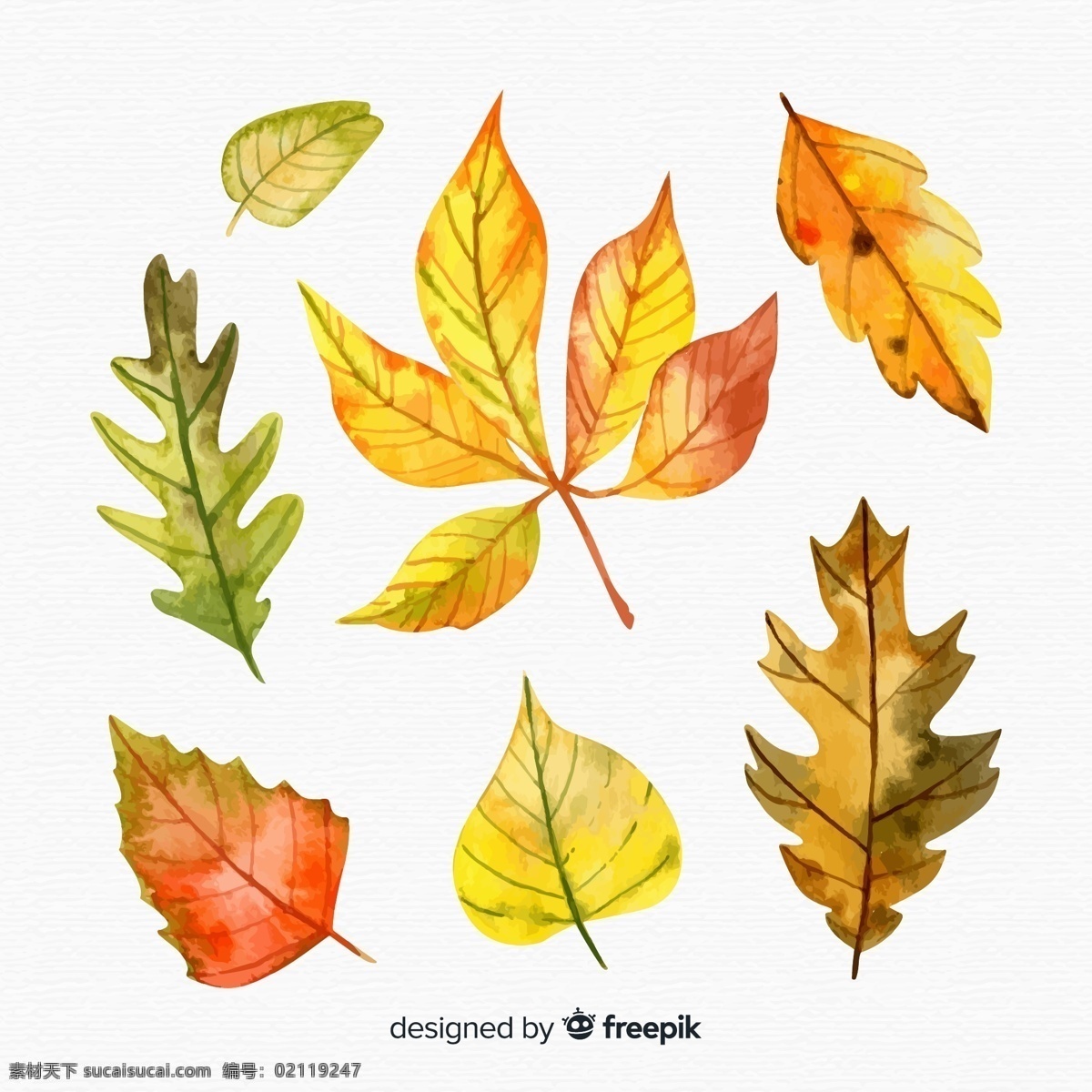 手绘 水彩 绘 秋季 树叶 落叶 叶子黄了 落叶彩绘 手绘树叶 生物世界 树木树叶