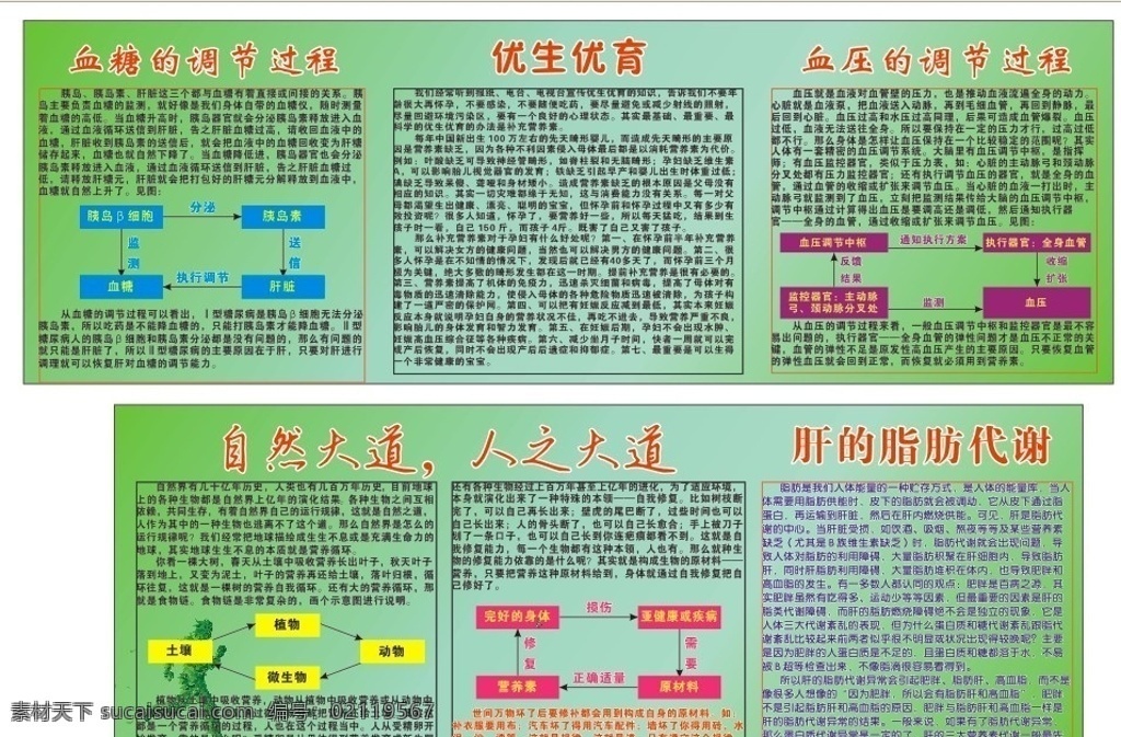 健康养生海报 降血脂 降血糖资料 优生优育 肝的代谢 促销 广告 海报 矢量