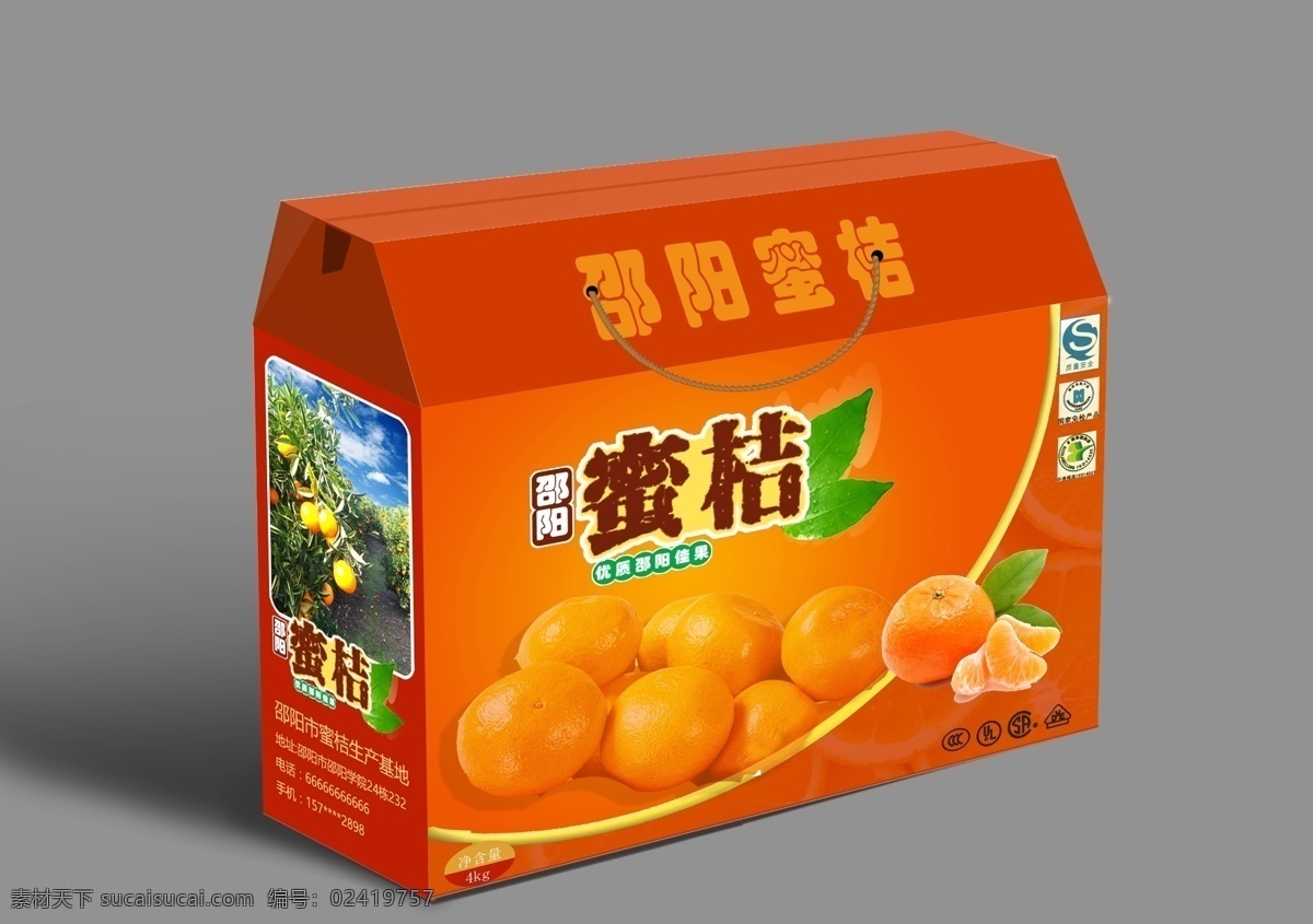 蜜桔 包装 效果图 蜜桔包装
