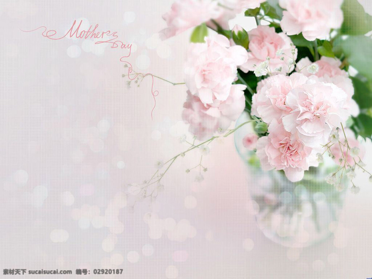 梦幻 粉色 花朵 背景 花瓶 清新 透明 气泡
