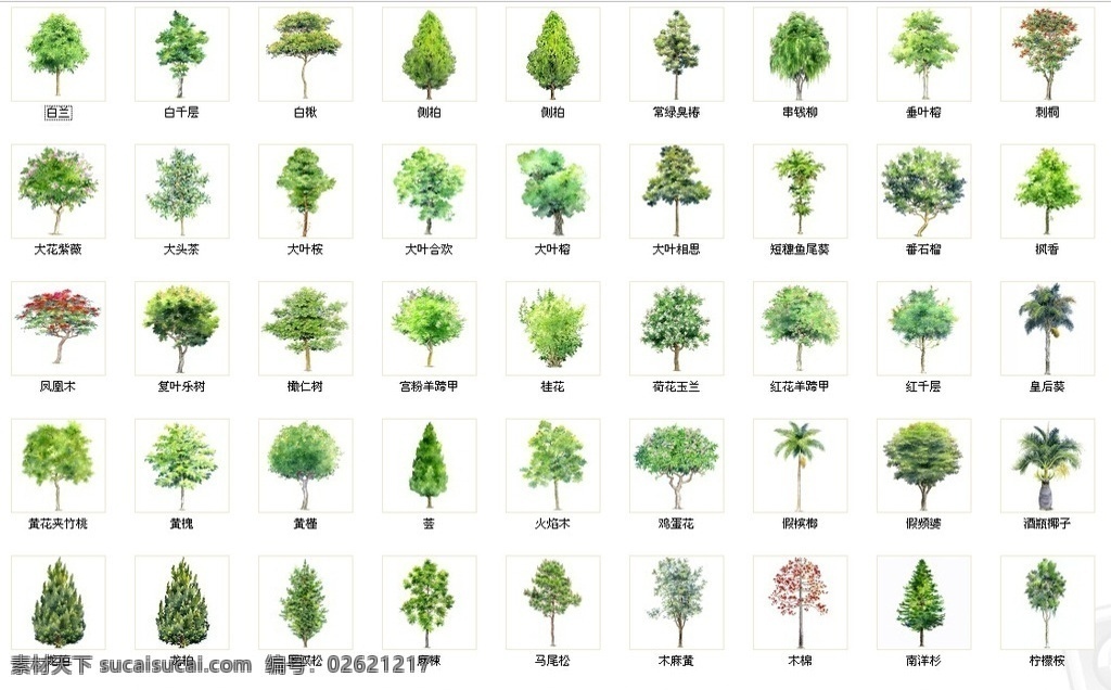 手绘素材 手绘乔木 乔木素材 绿化素材 园林手绘乔木 分层