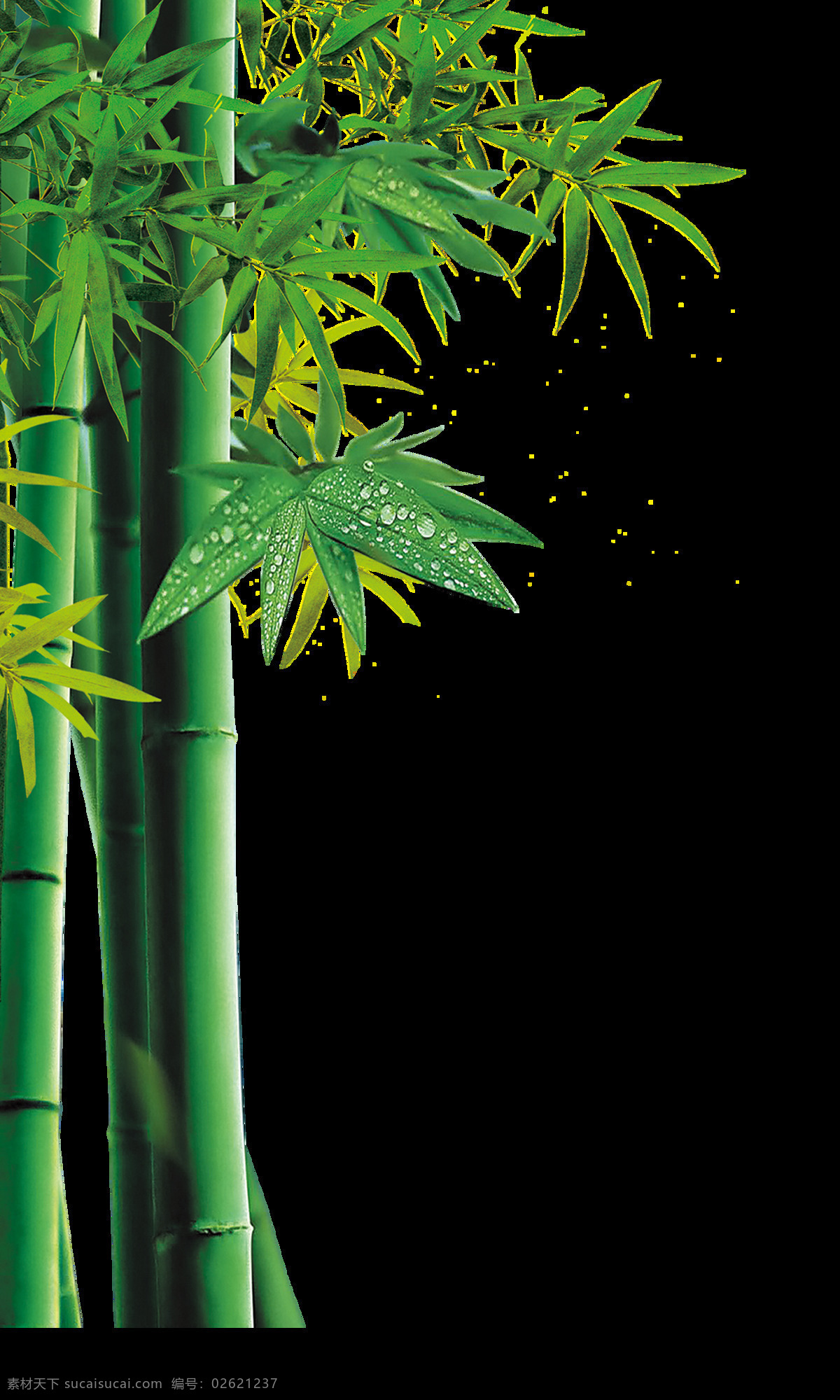 手绘 清新 竹叶 元素 绿色 竹子 水珠 免抠