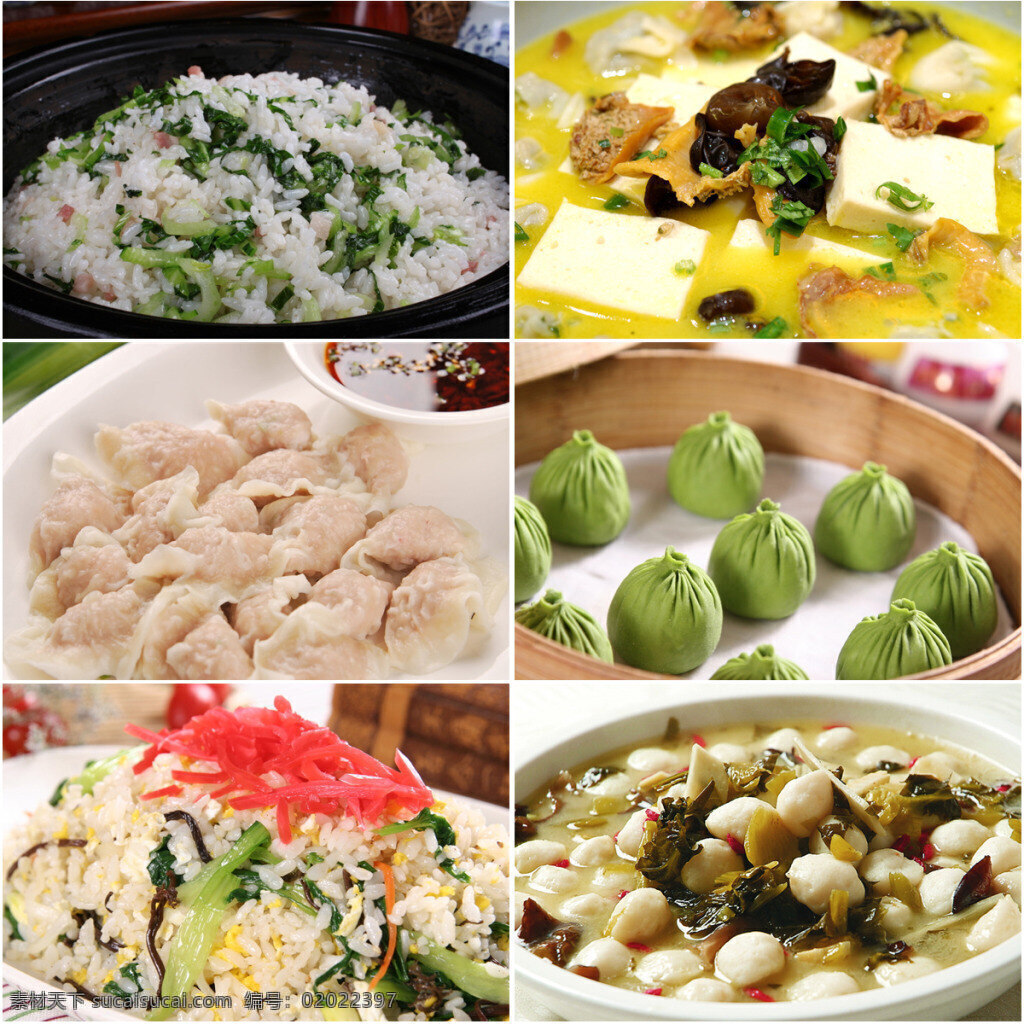 包子和饺子 中式 小吃 包子 饺子 黄色