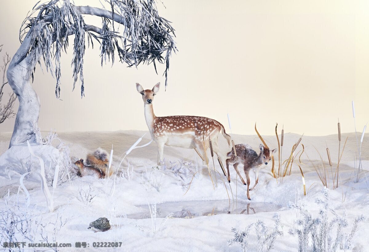 大气 冬季 小鹿 背景 动物 草原 广告背景 大雪 觅食 保护动物 保护环境