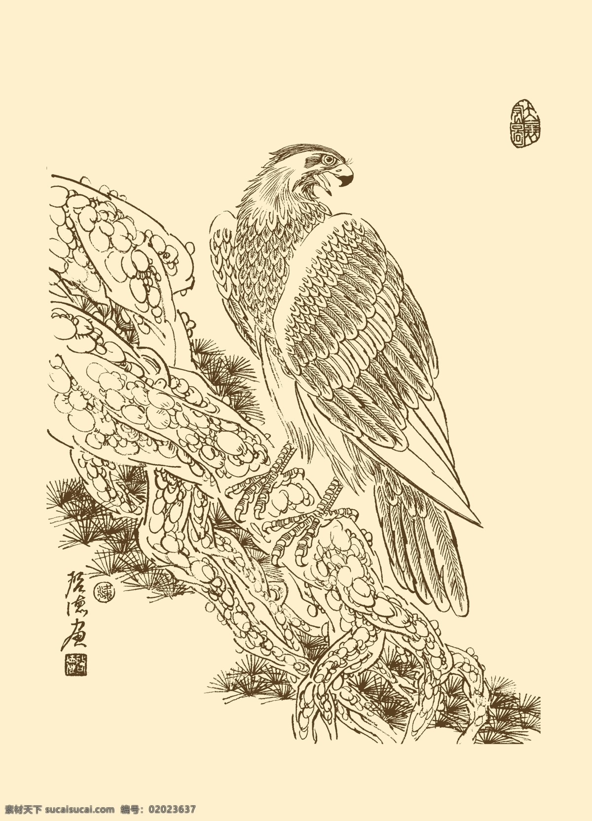 白描鹰 老鹰 鹰 雄鹰 白描 国画 线描 勾勒 中国画 分层 源文件