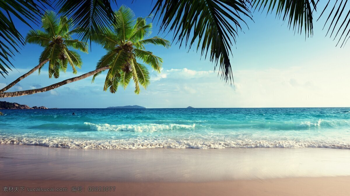 海边椰树 海岸 大海 沙滩 海浪 浪花 椰树 蓝天 白云 自然景观 自然风景