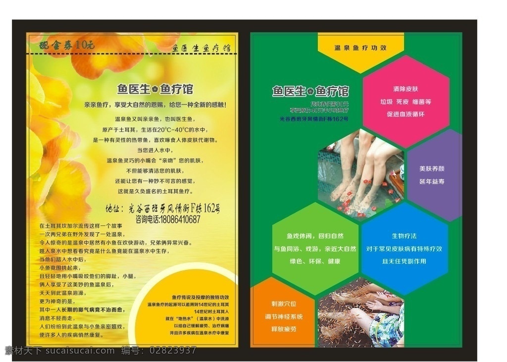 鱼疗传单 鱼疗 传单 亲亲鱼 鱼医生 鱼疗馆 温泉鱼疗 鱼疗单页 矢量