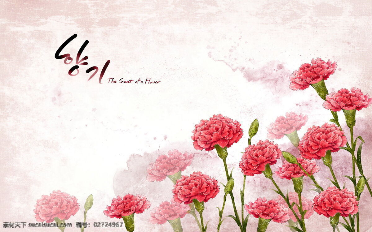 红色 花朵 韩文 背景图片