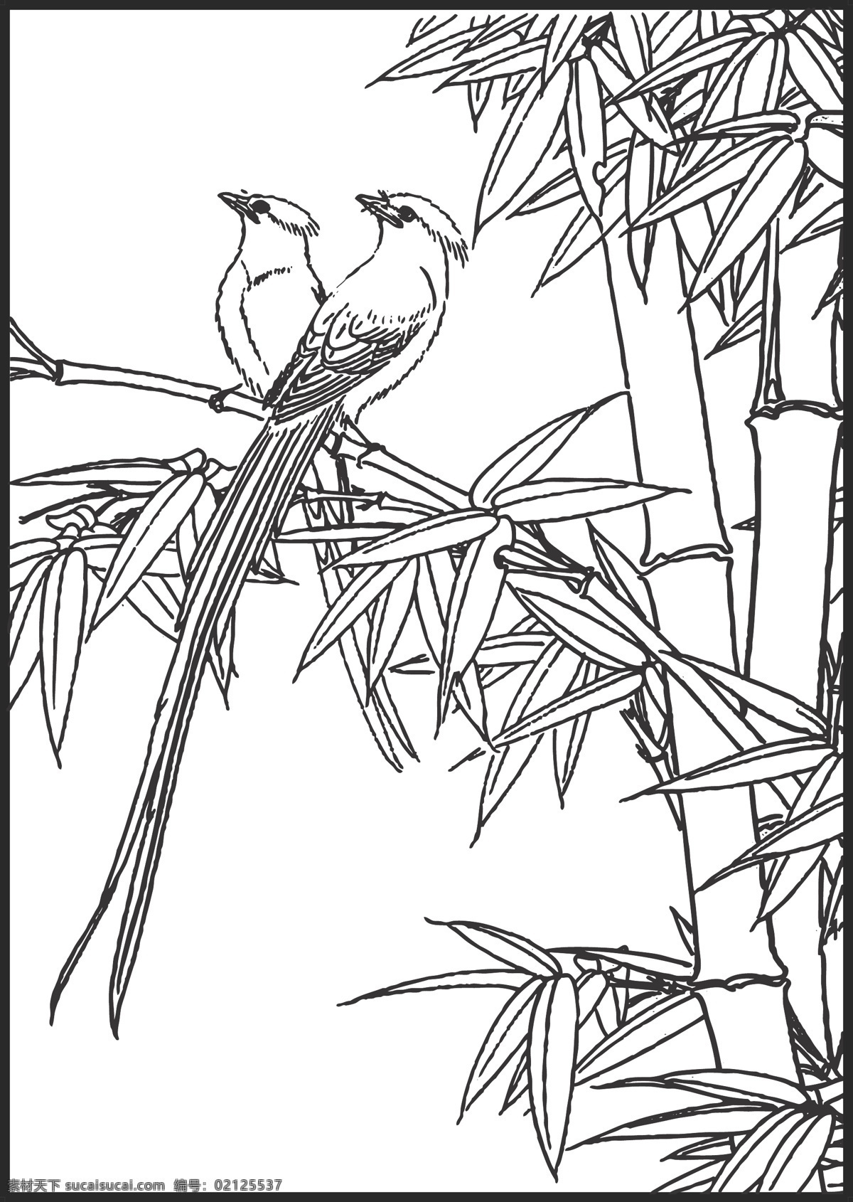 竹雀 竹子 植物 雀 鸟儿 自然景观 绘画 线条 矢量 传统 装饰 插画 白描 花鸟白描图 生物世界 鸟类
