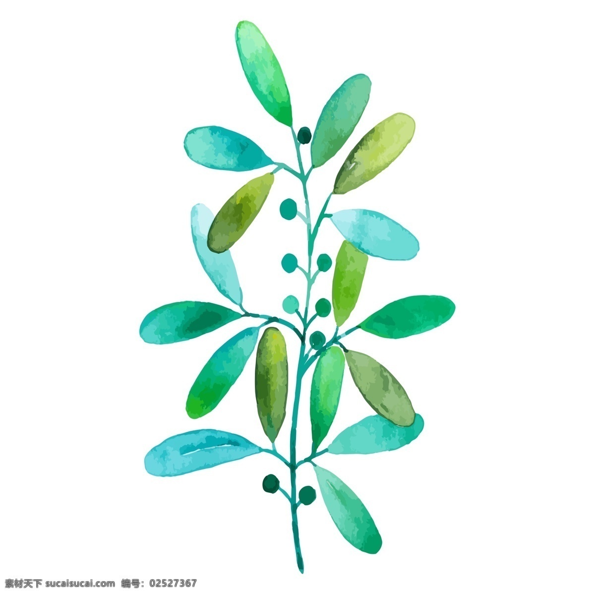 绿色生态 植物 免 抠 图 绿色生态植物 叶子 绿色枝条 健康的颜色 植物生长 免抠图