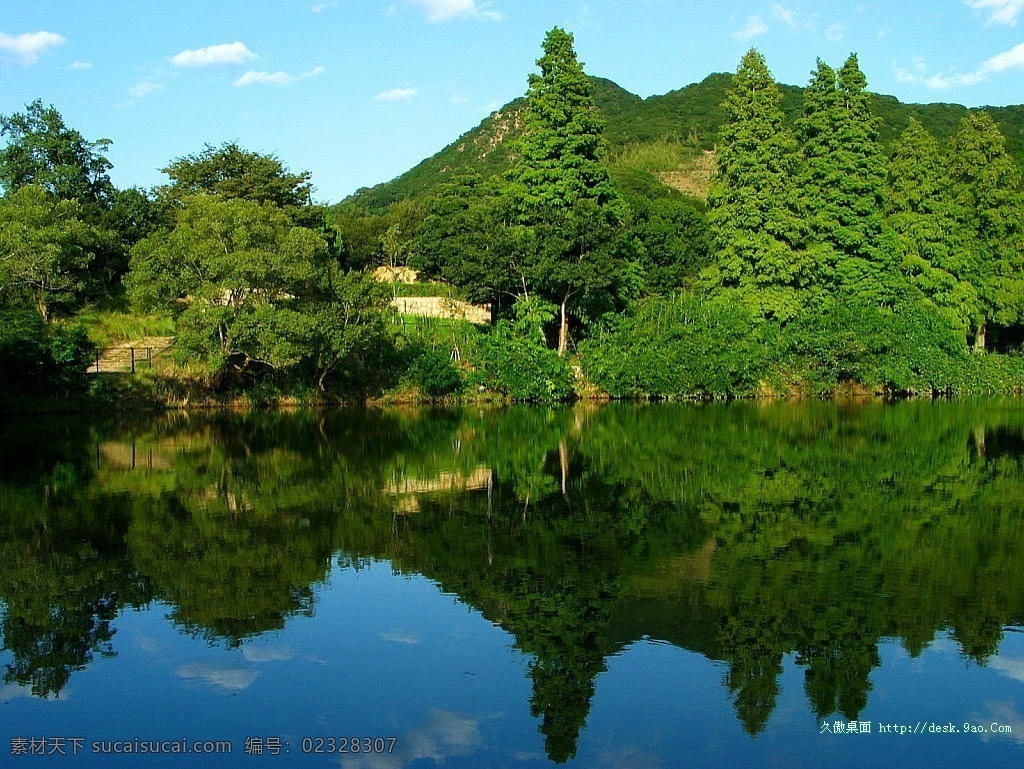 自然景观 草 湖 火烧云 绿色 落日 森林 沙滩 树 水 风景 生活 旅游餐饮