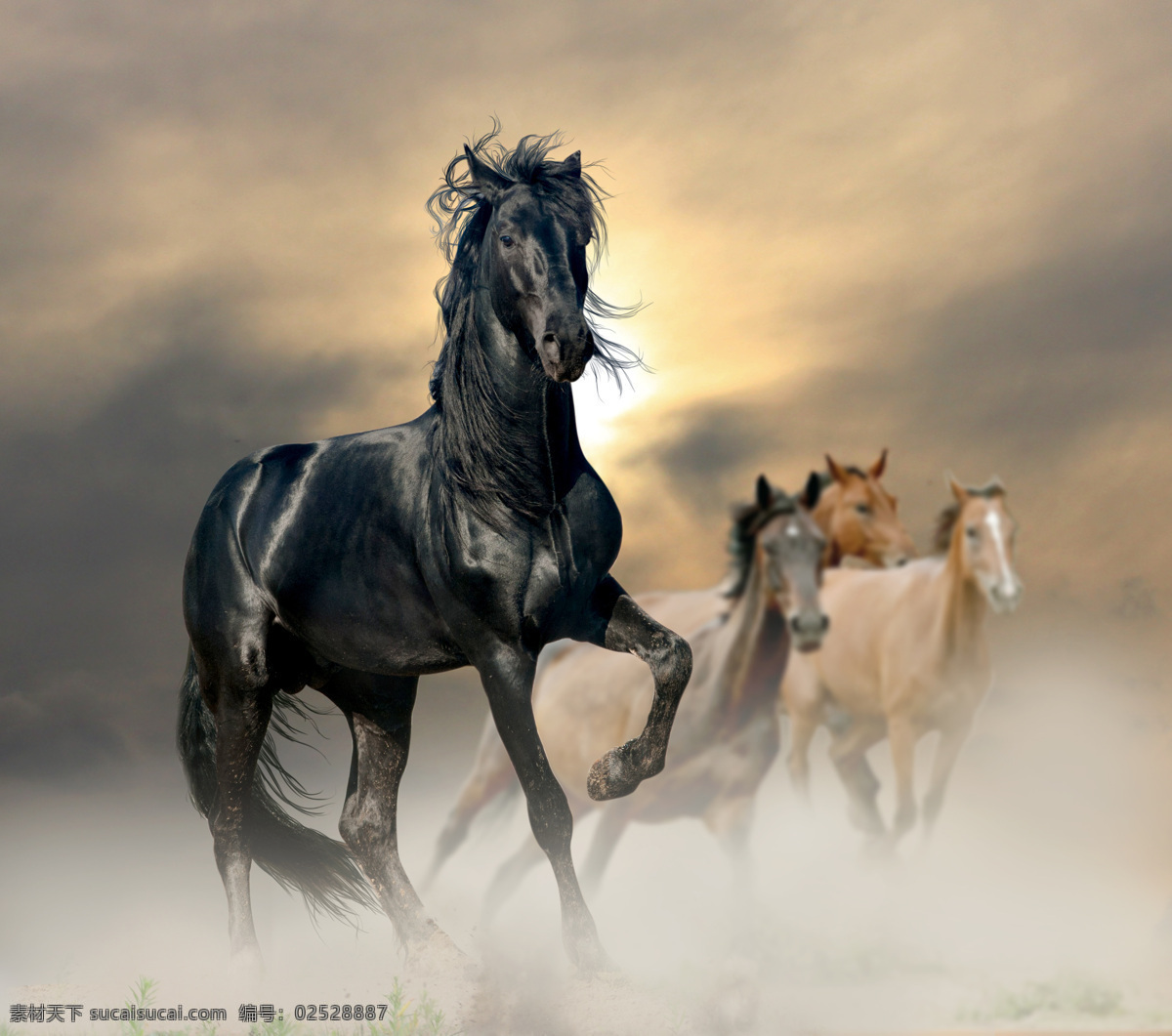 马 骏马 马头 漂亮的马 可爱的马 动作 奔跑 动物 写真 特写 生物世界 家禽家畜