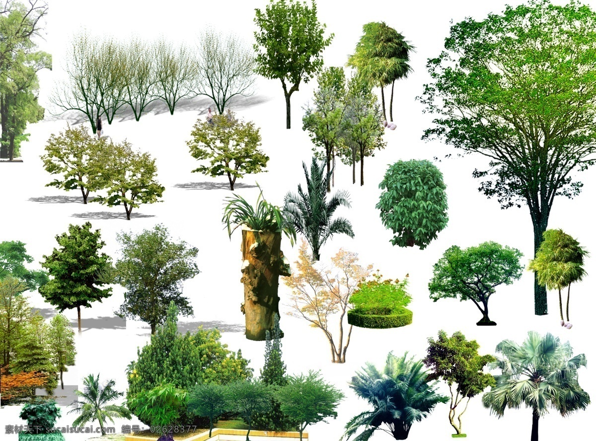 各种树木素材 树木 园林 绿植 psd分层 可编辑素材