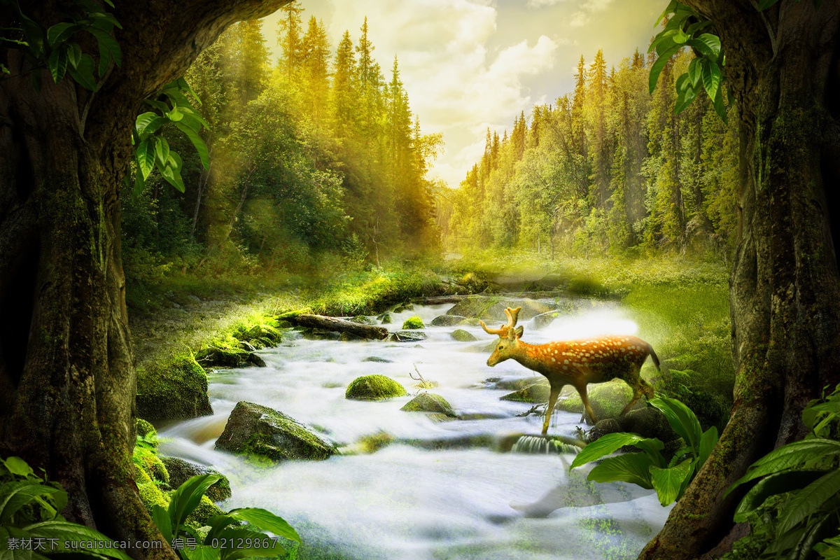 梦幻森林 梦幻 森林 丛林 树林 热带 雨林 童话 唯美 场景 背景 高清 合成 自然景观 自然风光