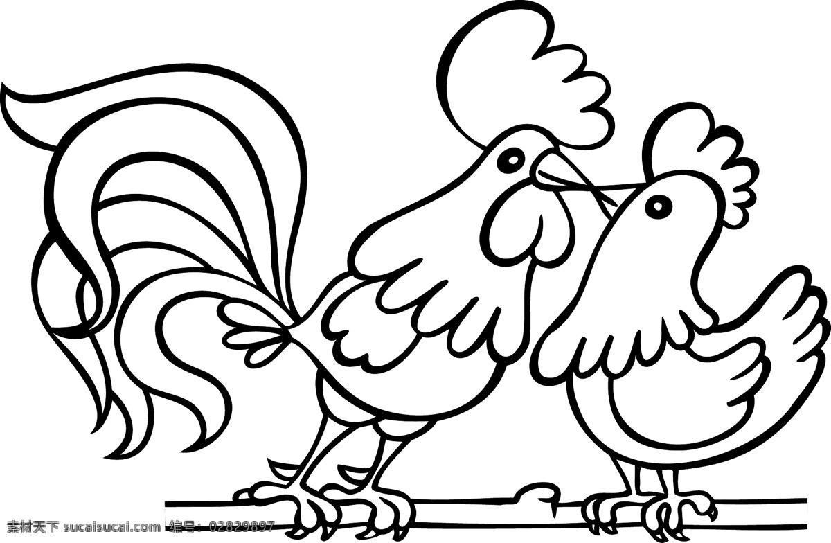 动物素材鸡 动物 鸡 矢量图 线稿 家禽家畜 生物世界 动物素材