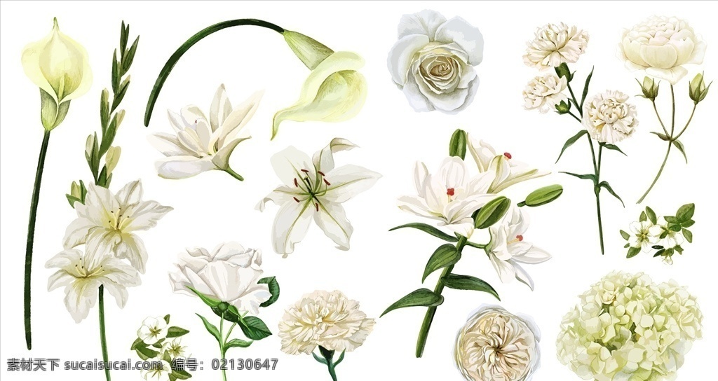 白菊 欧式花纹 彩绘花环 时尚花纹 水彩花环 花卉边框 花叶边框 森系边框 花纹边框 边框素材 婚庆边框 文本边框 手绘花纹 创意花边 花叶 鲜花 花语 花艺 文艺风 花艺插花 浪漫唯美花藤 森系小清新 唯美花藤 手绘花卉 婚礼花环 浪漫花环 浪漫唯美 浪漫花藤 花卉花草 欧式花环 花瓣 花蕊 花朵边框 底纹边框 其他素材