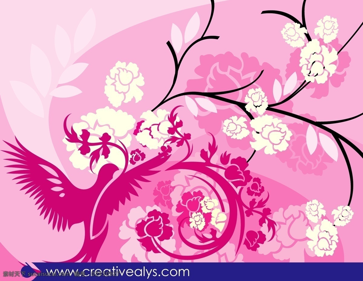 花 粉红色 背景 鸟 背景壁纸 花卉和漩涡 自然 模板和模型