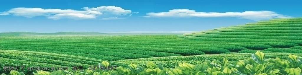 茶背景 茶背景图片 茶山 白云 蓝天 底纹背景 底纹边框 矢量