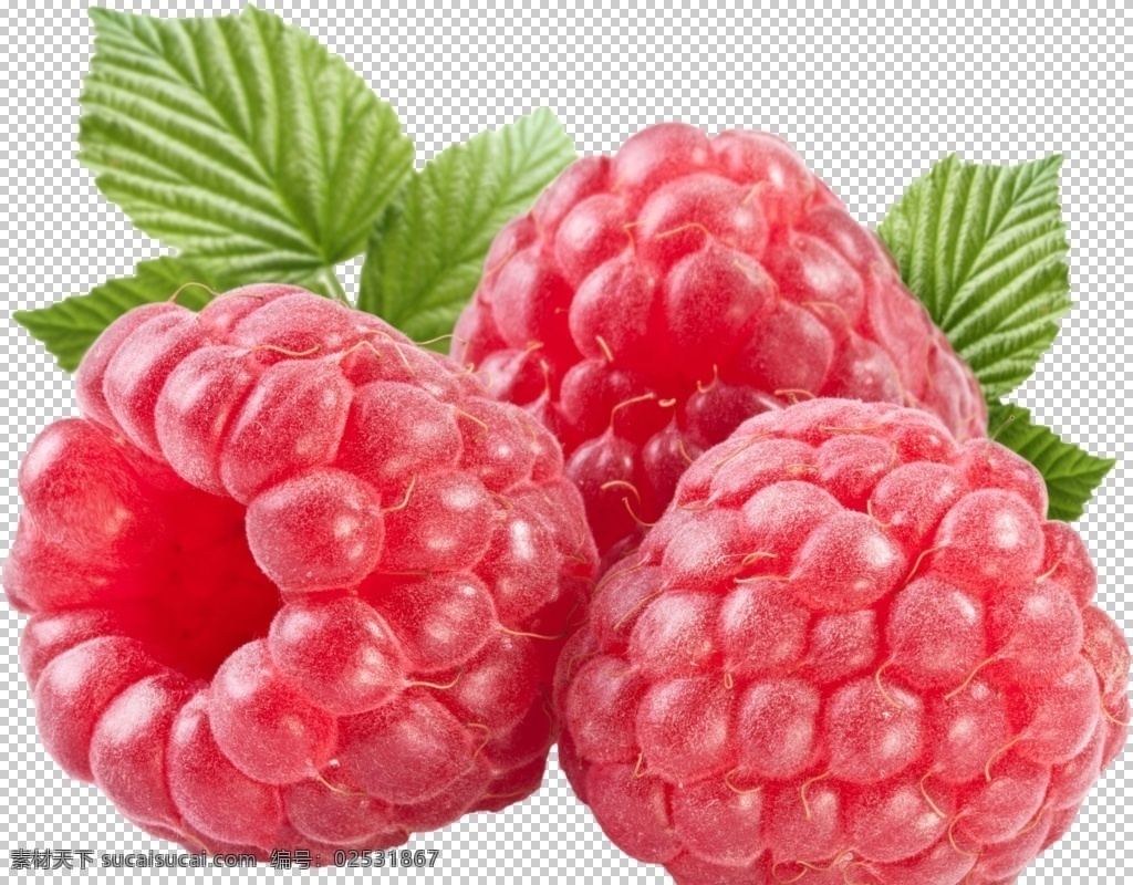 树莓 水果 食物 壁纸 生鲜 草莓背景 绿色背景 蔬菜 食品 新鲜 美味 素食 蔬菜水果 水果蔬菜 生物世界 生活用品