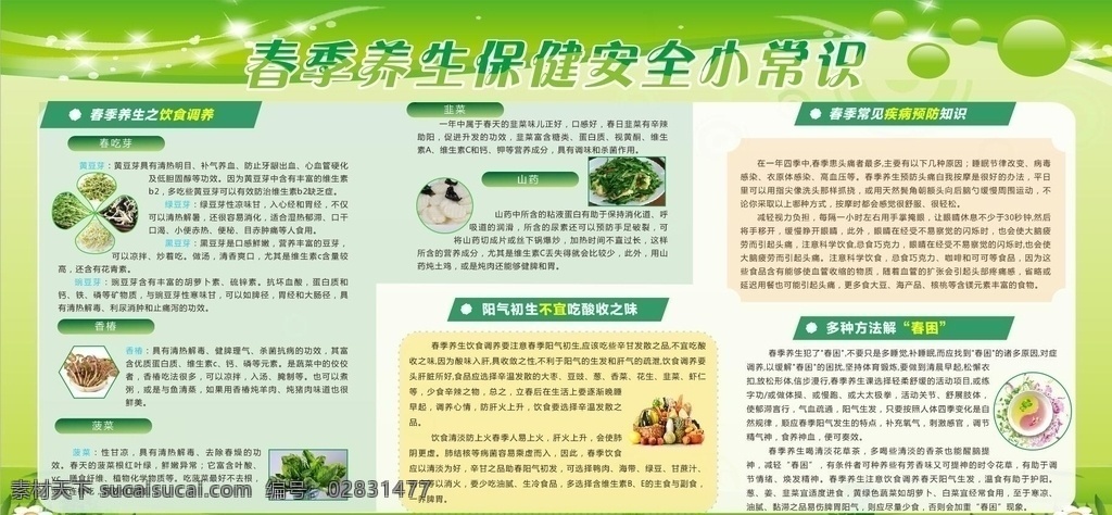 春季 健康教育 宣传栏 绿色 展板 健康常识